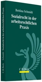 Bettina Schmidt - Sozialrecht in der arbeitsrechtlichen Praxis