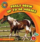 Cecilia Minden - Foals Grow Up to Be Horses