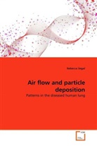 Rebecca Segal - Air flow and particle deposition