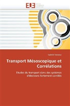 Gabriel Vasseur, Vasseur-G - Transport mesoscopique et