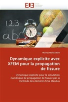 Thomas Menouillard, Menouillard-T - Dynamique explicite avec xfem