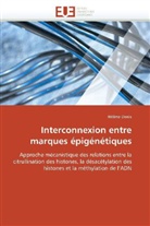 Hélène Denis, Denis-h - Interconnexion entre marques
