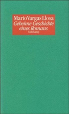 Mario Vargas Llosa - Geheime Geschichte eines Romans