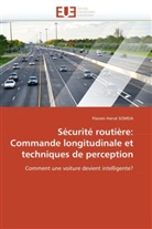 Flavien H. Somda, Flavien Hervé SOMDA, Somda-F - Securite routiere: commande