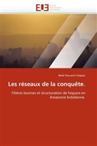 René Poccard-Chapuis, Poccardchapuis-R - Les reseaux de la conquete.