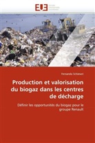 Fernanda Schiesari, Schiesari-F - Production et valorisation du