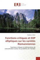 Stephane Collion, Collion-S - Fonctions critiques et edp