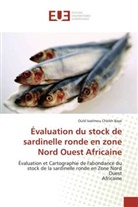 Ould Isselmou Cheikh Baye, Cheikh Baye-O - Evaluation du stock de sardinelle