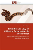 Vincent Vigon, Vigon-V - Simplifiez vos levy en titillant