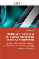 Olivier Deblecker, Deblecker-O - Modelisation numerique des champs