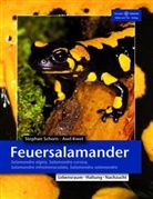 Kwet, Axel Kwet, Schor, Stefa Schorn, Stefan Schorn, Stephan Schorn - Feuersalamander
