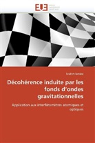 Brahim Lamine, Lamine-B - Decoherence induite par les fonds