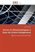Yannick Ledemi, Ledemi-Y - Verres et vitroceramiques a base