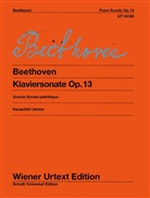 Ludwig van Beethoven, Pete Hauschild, Peter Hauschild - Klaviersonate c-Moll op. 13 für Klavier