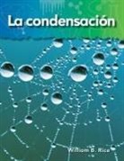 William Rice, William B Rice, William B. Rice - Condensation