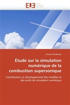 Dmitry Davidenko, Davidenko-D - Etude sur la simulation numerique