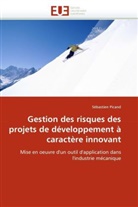 Sébastien Picand, Picand-S - Gestion des risques des projets