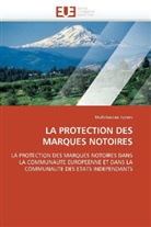 Mullohassan Turaev, Turaev-M - La protection des marques notoires