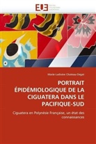 Marie-Ludivine Chateau-Degat, Chateaudegat-M - Portrait epidemiologique de la