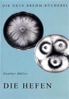 Gunther Müller - Die Hefen