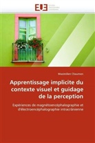 Maximilien Chaumon, Chaumon-M - Apprentissage implicite du