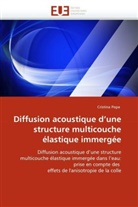 Cristina Popa, Popa-C - Diffusion acoustique d une