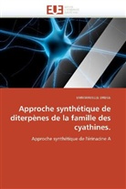 Emmanuelle Drege, Drege-E - Approche synthetique de