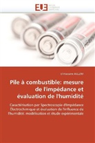 El-Hassane Aglzim, Aglzim-E - Pile a combustible: mesure de l