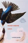 David Baker - Never-Ending Birds