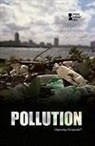 Louise I. Gerdes, Louise I. Gerdes - Pollution