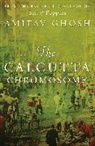 Amitav Ghosh, Ghosh Amitav - The Calcutta Chromosome
