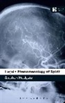 Stephen Houlgate - Hegel's 'Phenomenology of Spirit'