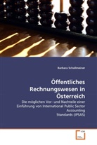 Barbara Schallmeiner - Öffentliches Rechnungswesen in Österreich