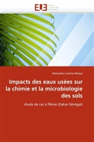 Mamadou Lamine Ndiaye, Ndiaye-m - Impacts des eaux usees sur la