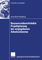Cord-Ulrich Fündeling - Ressourcenbeschränkte Projektplanung bei vorgegebenen Arbeitsvolumina