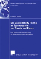 Clemens Pelster - Das Controllability-Prinzip im Spannungsfeld von Theorie und Praxis