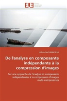 Isidore P. Akam Bita, Isidore Paul Akam Bita, Akam Bita-I - De l analyse en composante