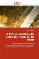 laila tajeddine, Tajeddine-L - La photodegradation des
