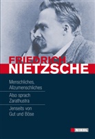 Friedrich Nietzsche - Friedrich Nietzsche, Hauptwerke