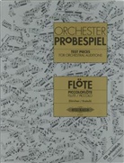 Christoph Dürichen, Siegfried Kratsch - Orchester-Probespiel für Flöte / Piccoloflöte (Dürichen/Kratsch)