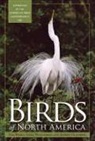 Jeffrey Glassberg, Jeffrey/ Williamson Glassberg, Sheri Williamson, Tom Wood - Birds of North America