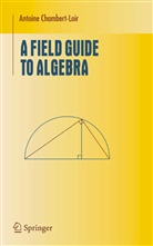 Antoine Chambert-Loir - A Field Guide to Algebra