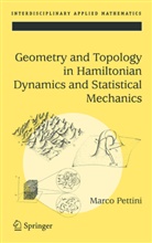 Marco Pettini - Geometry and Topology in Hamiltonian Dynamics and Statistical Mechanics