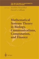 David S. Gilliam, Joachi Rosenthal, Joachim Rosenthal, S Gilliam, S Gilliam - Mathematical Systems Theory in Biology, Communications, Computation and Finance