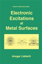 Ansgar Liebsch - Electronic Excitations at Metal Surfaces