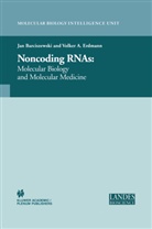 hab. Jan Barciszewski, Ja Barciszewski, Jan Barciszewski - Non-Coding RNAs