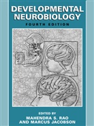 Mahendra S Rao, Jacobson, Jacobson, Marcus Jacobson, Scott Lipnick, Mahendra S. Rao... - Developmental Neurobiology