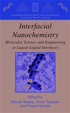 Tsugo Sawada, Nori Teramae, Norio Teramae, Hitoshi Watarai - Interfacial Nanochemistry