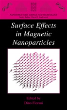 Din Fiorani, Dino Fiorani - Surface Effects in Magnetic Nanoparticles