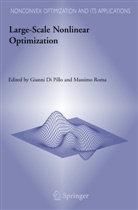 Giann Pillo, Gianni Pillo, Roma, Roma, Massimo Roma - Large-Scale Nonlinear Optimization